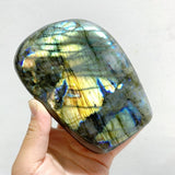 7 Pieces Large Labradorite Free Form -Wholesale Crystals