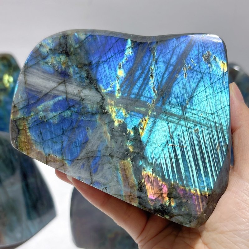 7 Pieces Large Labradorite Free Form High Quality - Wholesale Crystals