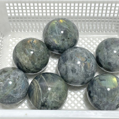 7 Pieces Large Labradorite Spheres Clearance - Wholesale Crystals