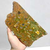 7 Pieces Peacock Eye Rain Forest Jasper Slab - Wholesale Crystals