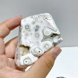 8 Pieces 8th Vein Ocean Jasper Free Form Mixed Size A05 - Wholesale Crystals