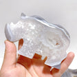 8 Pieces Beautiful Geode Druzy Agate Rhino Carving - Wholesale Crystals