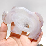 8 Pieces Beautiful Geode Druzy Agate Rhino Carving - Wholesale Crystals