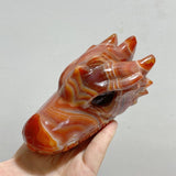 8 Pieces Carnelian Dragon Head Carving -Wholesale Crystals