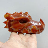 8 Pieces Carnelian Dragon Head Carving -Wholesale Crystals