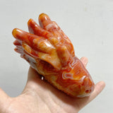 8 Pieces Carnelian Dragon Head Carving -Wholesale Crystals