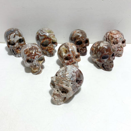 8 Pieces Geode Druzy Morocco Agate Skull Carving 2 - Wholesale Crystals