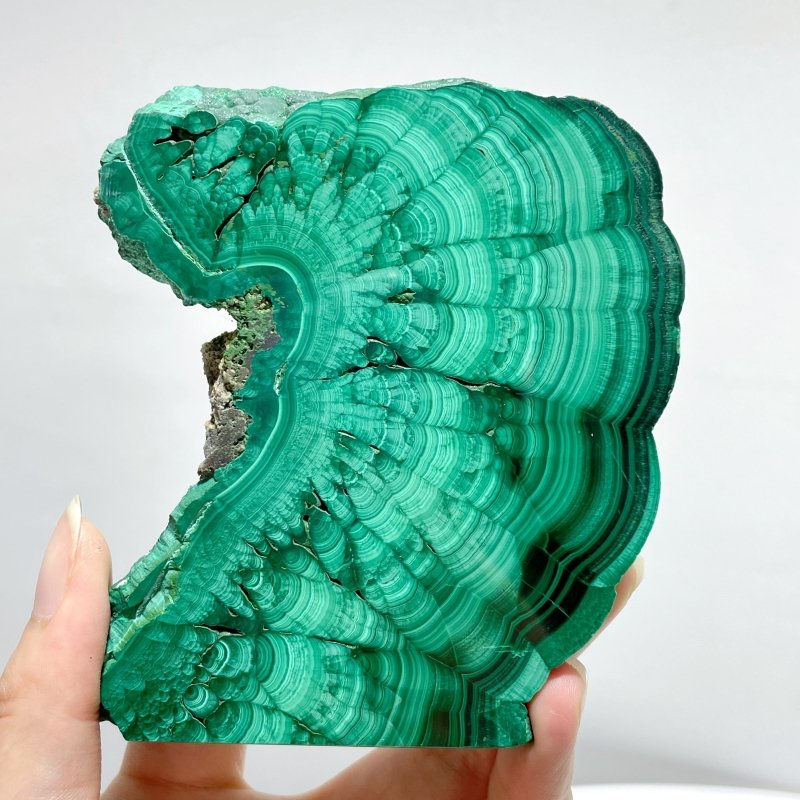 8 Pieces High Quality Polished Malachite Slab - Wholesale Crystals