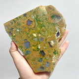 8 Pieces Peacock Eye Rain Forest Jasper Slab - Wholesale Crystals