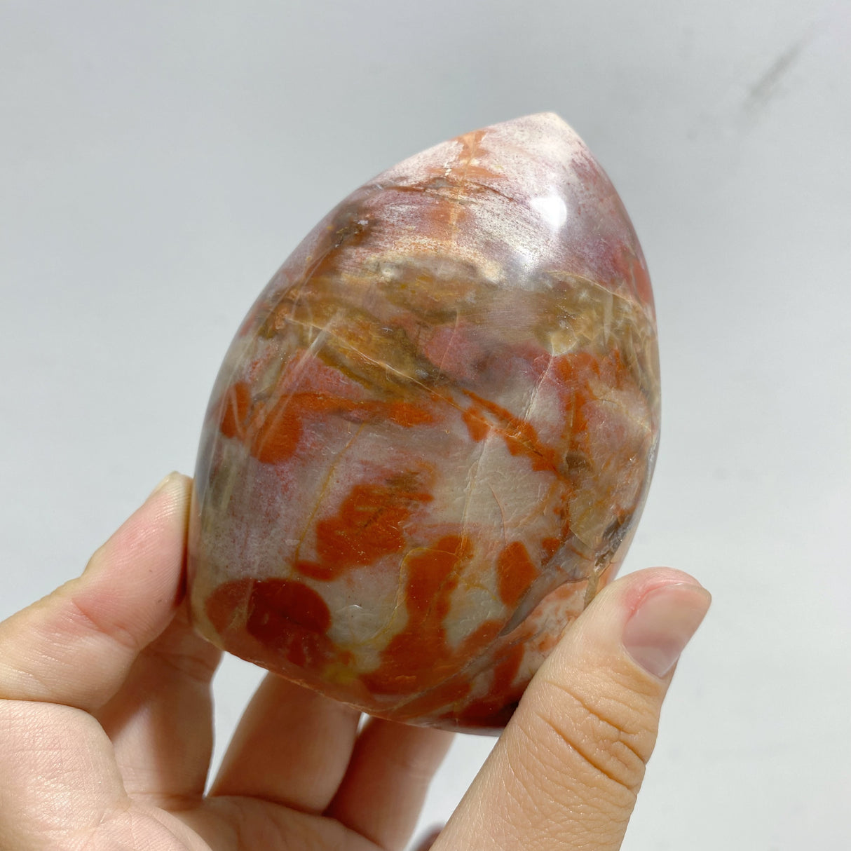15 Pieces Petrified Wood Stone Arrow Head Shape