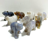 9 Pieces Beautiful Geode Druzy Agate Bear Carving - Wholesale Crystals