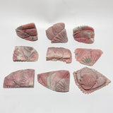 9 Pieces Beautiful Pink Opal Fish Carving - Wholesale Crystals