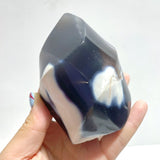 9 Pieces Black Orca Agate Flame Carving - Wholesale Crystals