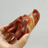 9 Pieces Carnelian Dragon Head Carving -Wholesale Crystals