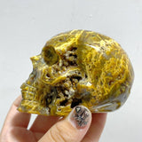 9 Pieces Geode 6th Vein Ocean Jasper Skull Carving -Wholesale Crystals