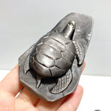 9 Pieces Silver Sheen Obsidian Sea Animals Carving - Wholesale Crystals