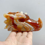 9 Pieces Carnelian Dragon Head Carving