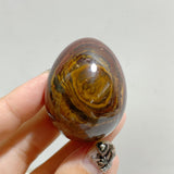 Petrified Wood Stone Egg Wholesale