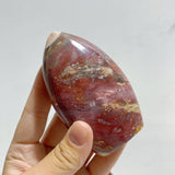 15 Pieces Petrified Wood Stone Arrow Head Shape