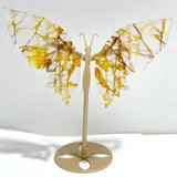 Golden Hematoid Quartz Fire Quartz Butterfly Wing Carving With Stand