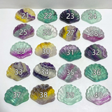 Rainbow Fluorite Shell Wholesale (No.21-40)