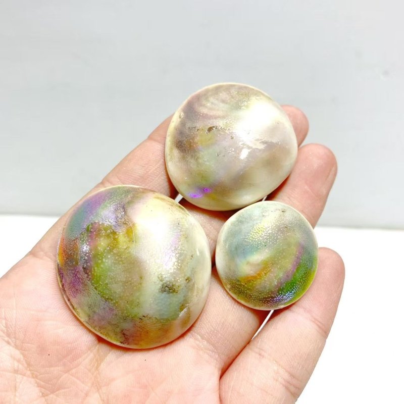 Aura Shell Fossil Wholesale - Wholesale Crystals