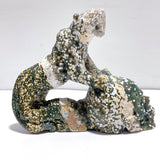 Beautiful 8th Vein Ocean Jasper Leopard Panther Skull Carving - Wholesale Crystals