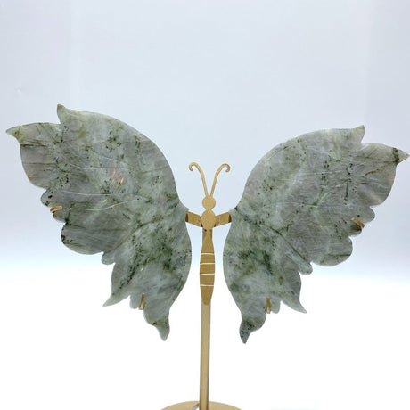 Beautiful Labradorite Butterfly Wing Carving With Stand - Wholesale Crystals