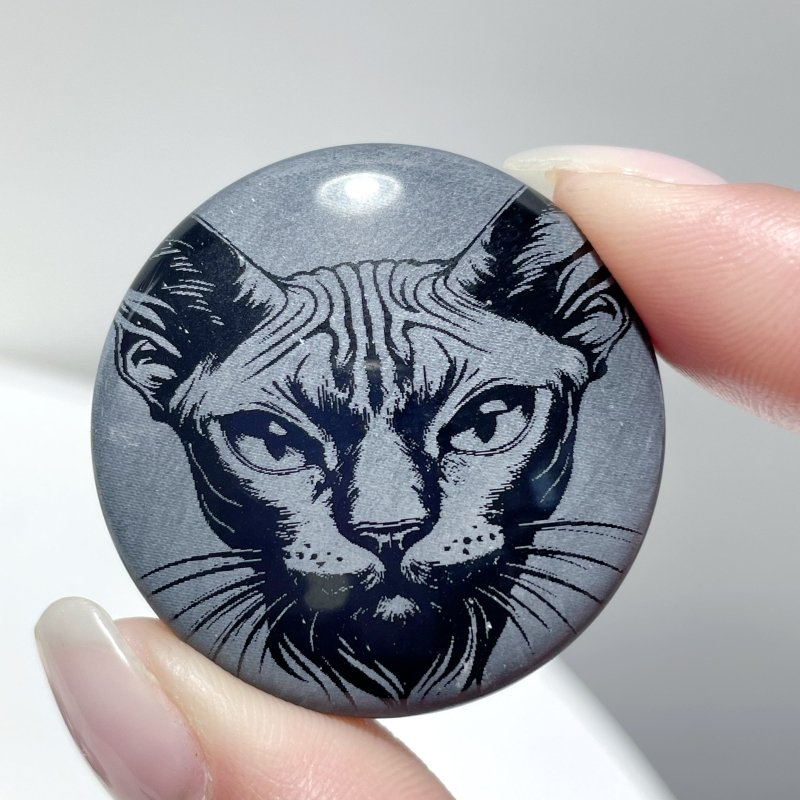 Black Obsidian Engraved Cat Round Slices DIY Accessories Wholesale - Wholesale Crystals