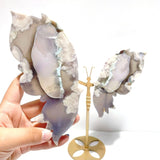 Black Sakura Flower Agate Butterfly Wing Carving With Stand - Wholesale Crystals