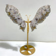 Black Sakura Flower Agate Butterfly Wing Carving With Stand -Wholesale Crystals