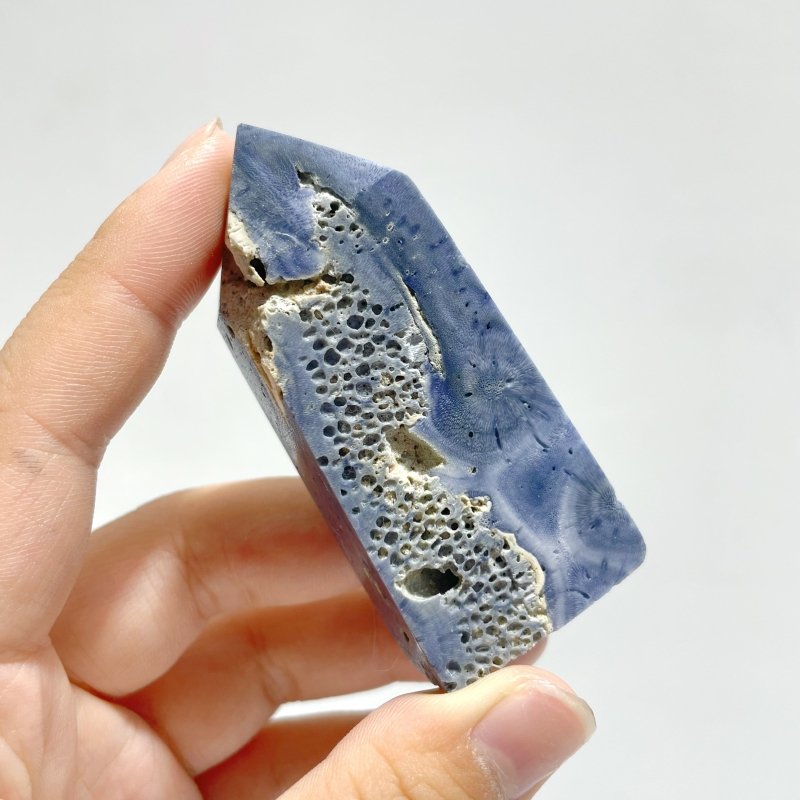 Blue Ridge Coral Heliopora Coerule Tower Point Wholesale - Wholesale Crystals