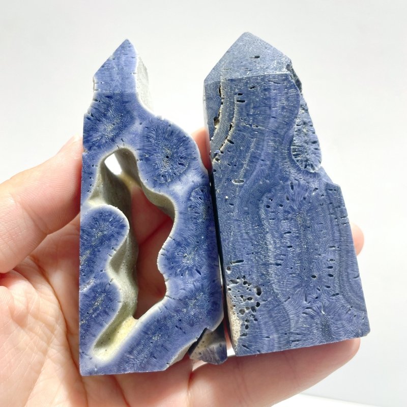 Blue Ridge Coral Heliopora Coerule Tower Point Wholesale - Wholesale Crystals