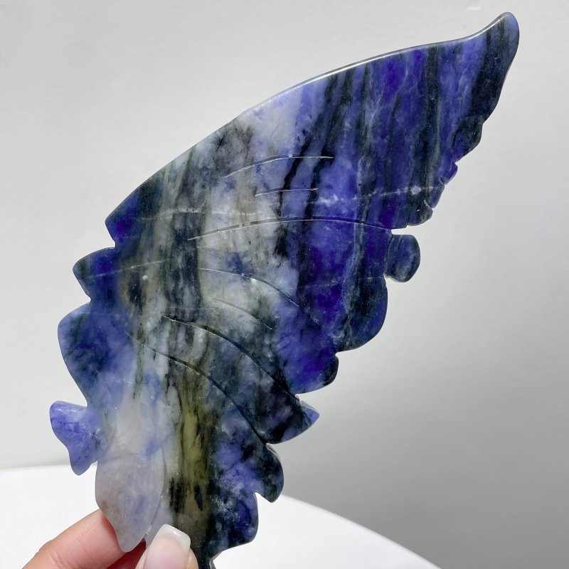 Blue Sodalite Butterfly Wing Carving With Stand - Wholesale Crystals