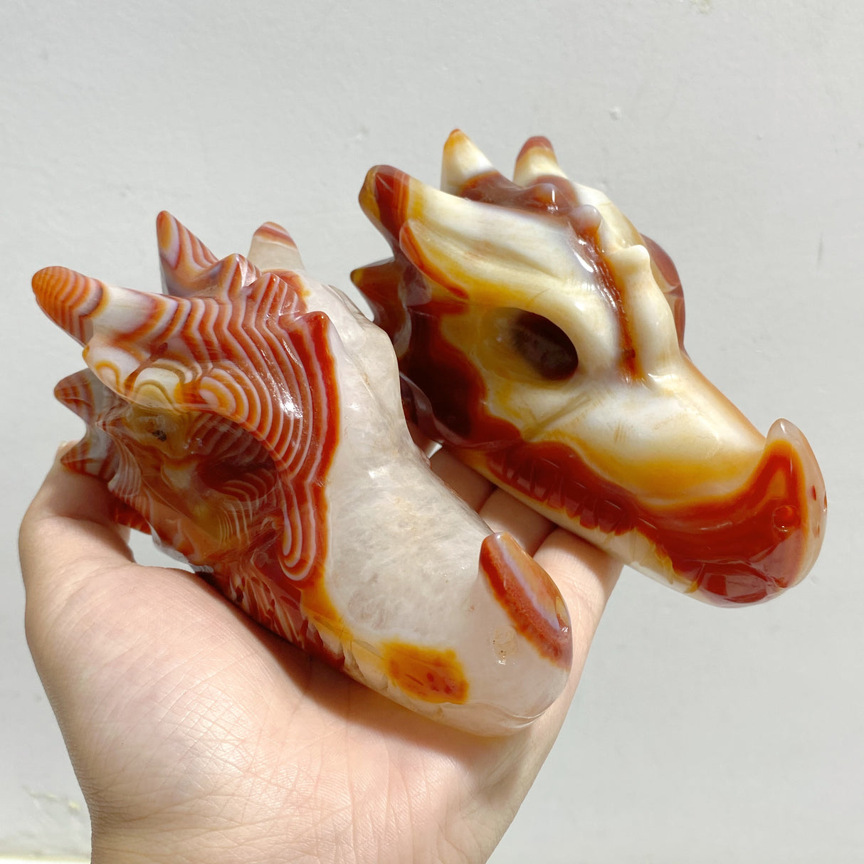 7 Pieces Carnelian Dragon Head Carving