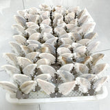 Clear Quartz Cluster Butterfly Wing With Stand Wholesale -Wholesale Crystals
