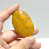 Crazy Agate Palm Wholesale - Wholesale Crystals