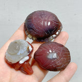 49 Pieces Africa Red Agate Sea Animals Carving
