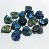 Labradorite Conch Carving Wholesale -Wholesale Crystals