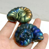 Labradorite Conch Carving Wholesale -Wholesale Crystals