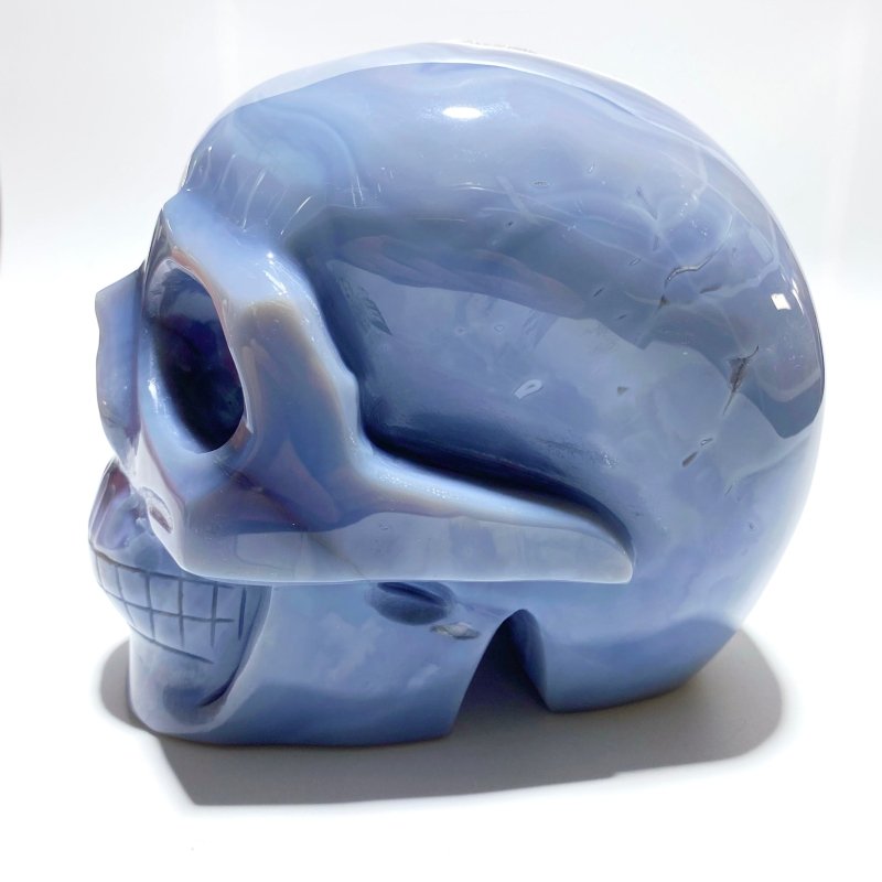 Large Geode Druzy Agate Skull - Wholesale Crystals