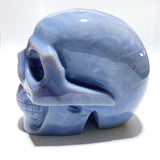 Large Geode Druzy Agate Skull - Wholesale Crystals