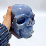Large Geode Druzy Agate Skull - Wholesale Crystals