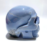 Large Geode Druzy Agate Skull - Wholesale Crystals