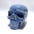 Large Geode Druzy Agate Skull - Wholesale Crystals
