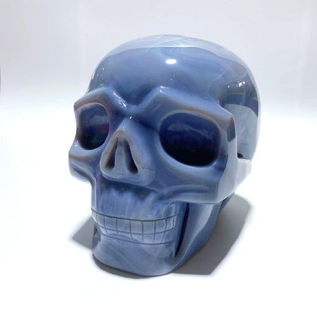 Large Geode Druzy Agate Skull - Wholesale Crystals