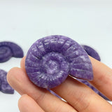 Lepidolite Conch Carving Wholesale -Wholesale Crystals