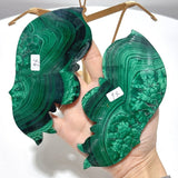 Malachite Butterfly Wing Crystal Carving With Stand - Wholesale Crystals
