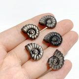 Mini Silver Sheen Obsidian Conch Carving Wholesale -Wholesale Crystals
