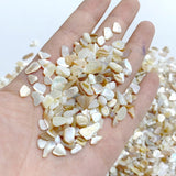 Mother of Pearl Shell Gravel Chips Wholesale -Wholesale Crystals